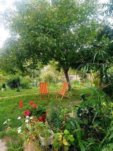 Hostal Four Seasons In Kutaisi