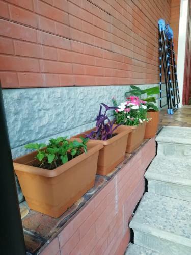 Hostal Guest House Elena