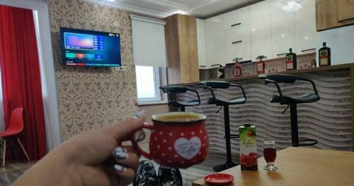 L&i Natia Apartament