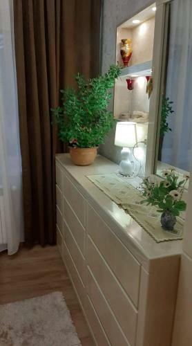 Apartamento Newly Renovated House
