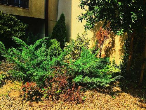Hostal Domik S Dvorom
