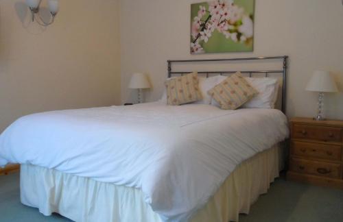 Hostal Bluebell House