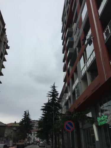 Apartment On Parnavaz Mepe Street