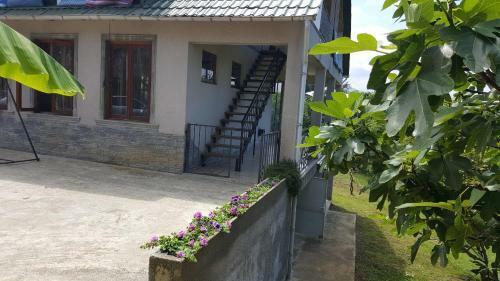 Hostal Olga's Home