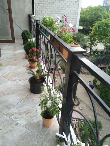 Hostal Guest House New Boulevard