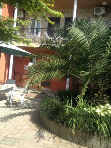 Hostal Nikas Guest House
