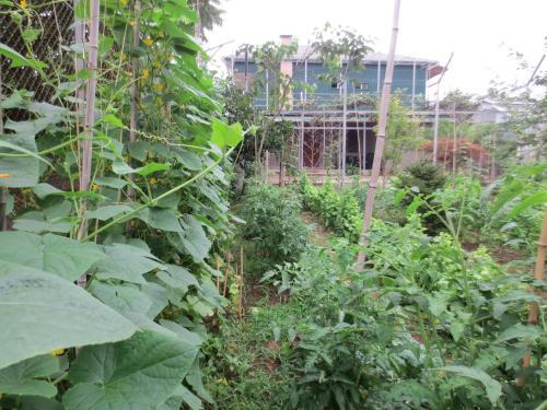 Agrogarden Batumi