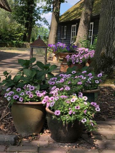 Bed & Breakfast Hof Van Eersel