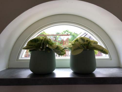 Apartamento Pullevaart
