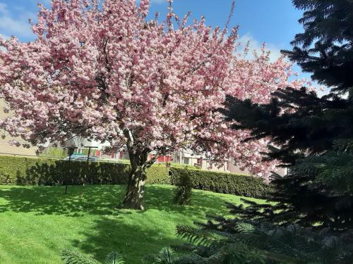 Bed & Breakfast De Herberg