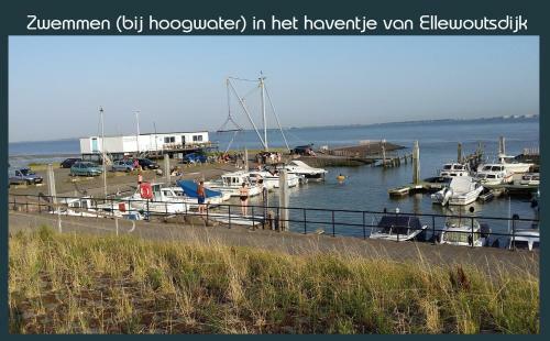 Vakantiewoning Deltahof