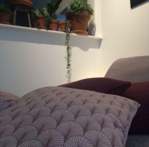 Hostal Tilias