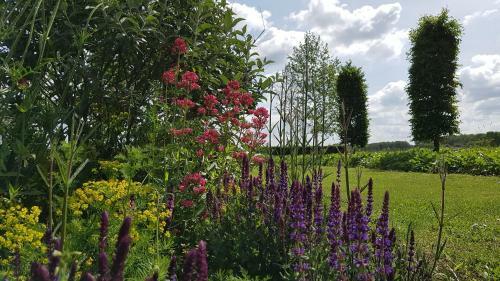 Bed & Breakfast De Tuinschuur
