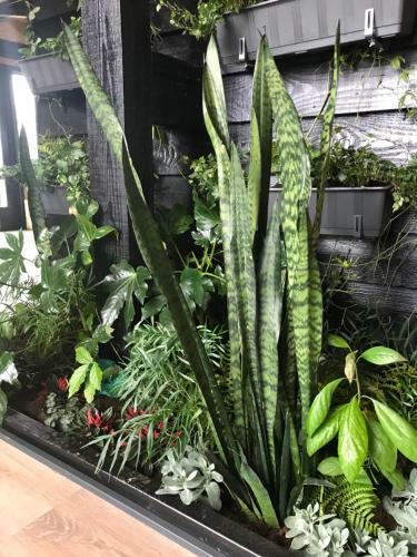 Bed & Breakfast De Tuinschuur