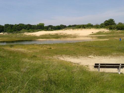 Joy