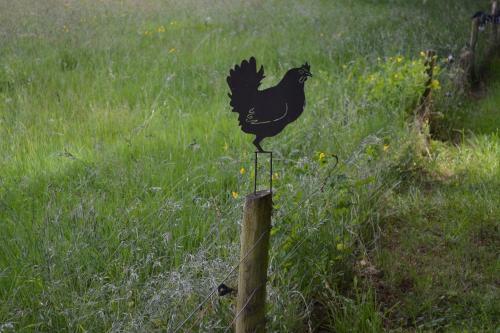 De Hooge Woeste
