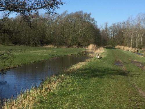 B&B Gamerenwaard