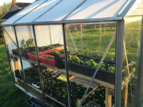Bed & Breakfast Onder De Boom