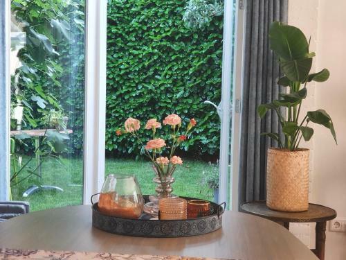 Bed And Breakfast En Studio Het Atelier