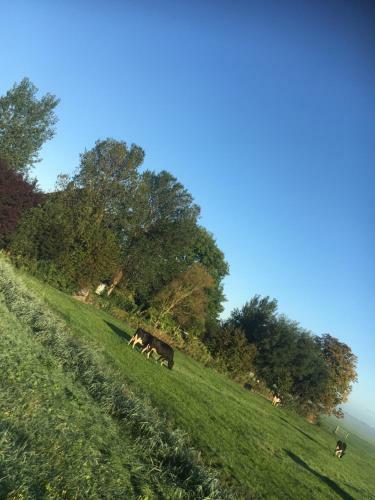 B&B de Pauw - Country Home Cooking