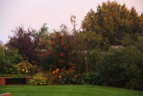 Bed & Breakfast Noflik Haule