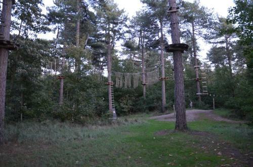 B&B Onder De Molen