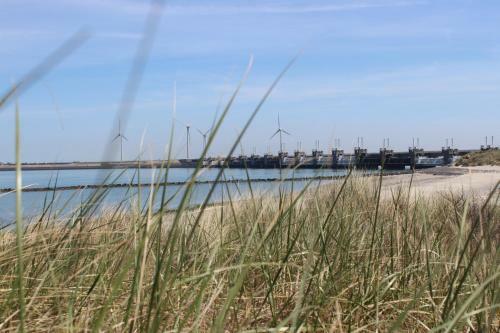 't Schouws Uusje