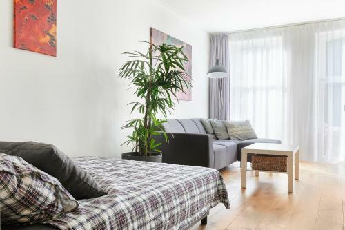Cozy Typical Dutch Apartments