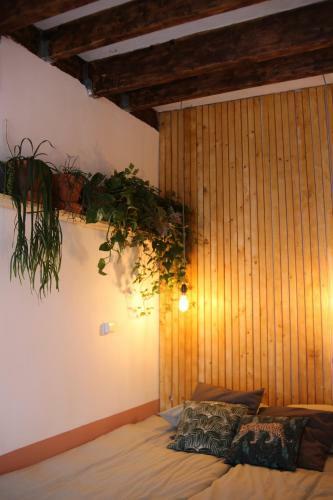 Tiny House B&B "ma�ana"