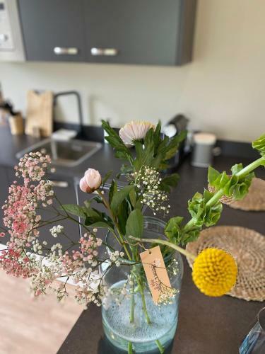 Bed & Breakfast Stay-inn Harlingen
