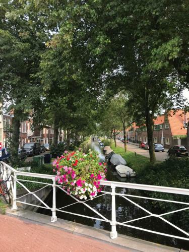 Apartamento de Haarlemse Logeerkamer