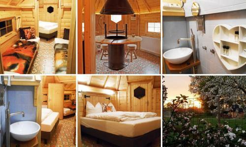 Bed & Breakfast de Buitenboel Bijons4