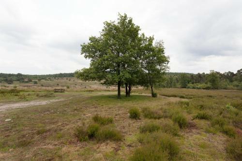 Chalet Hoenderloo Den