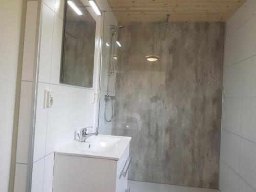 Spacious Chalet In Hoenderloo With Swimming Pool