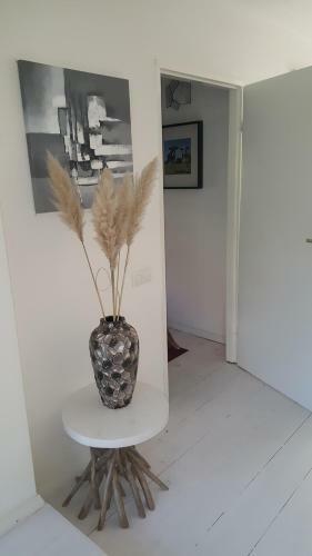 De Witte Bergen 80