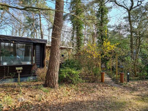 Chalet Boslust