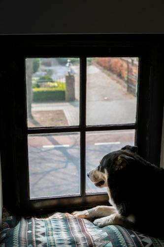 B&B Het Wolfseind