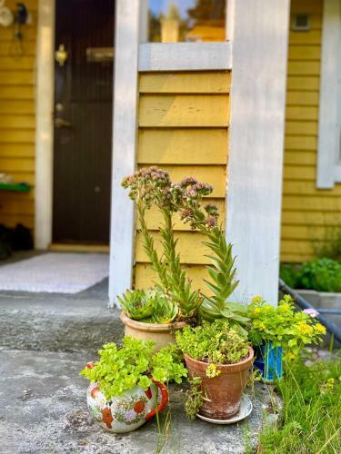 Fairytale Cottage