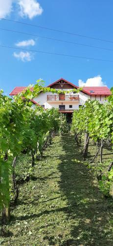 Bed & Breakfast Panorama
