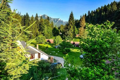 Camping Ursulet Durau
