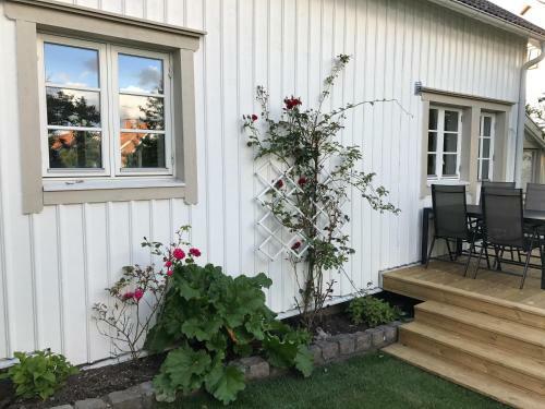 Villa Pia's House