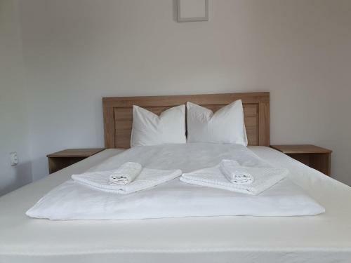 Hostal Sergilliohouse