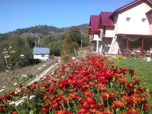 Hostal Casa Cu Muscate