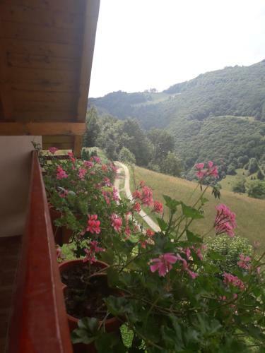 Hostal Casa Cu Muscate