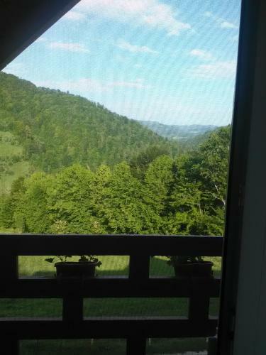 Hostal Casa Cu Muscate