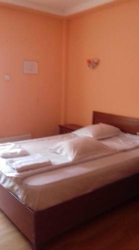Hotel Pensiunea Balea
