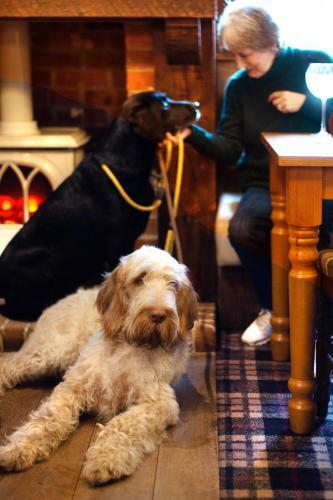 Kings Lodge Hotel