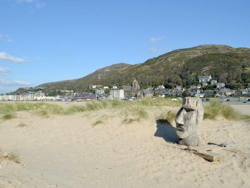 Cae-fadog Fach