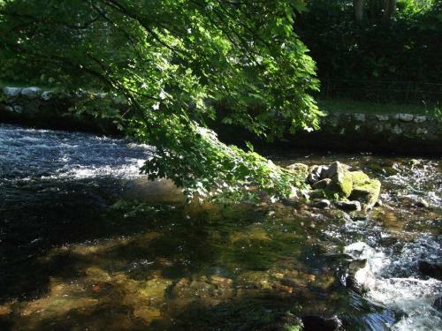 Talybont Bed And Breakfast