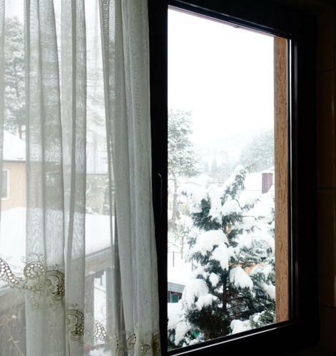 Classic Villa Bucovina